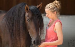 Warum bin ich Pferdeosteopathin und Tierheilppraktikerin für Pferde