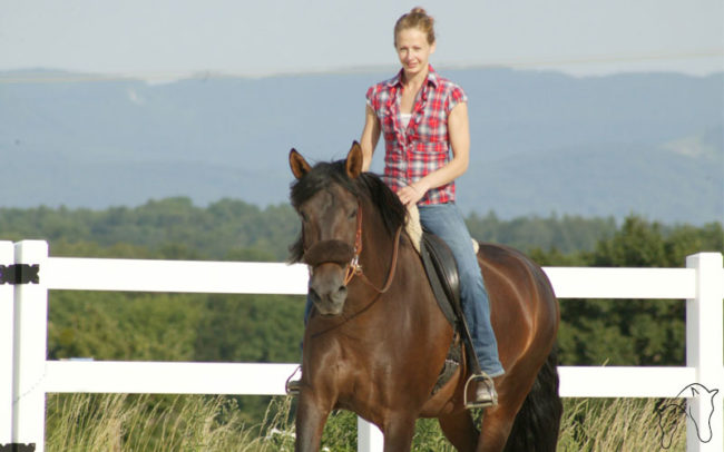 Aufwärmphase im Pferdetraining