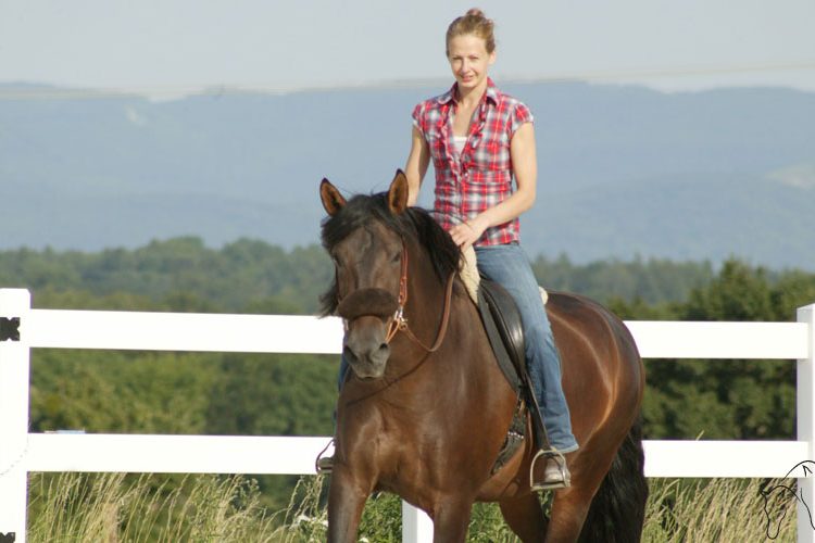 Aufwärmphase im Pferdetraining