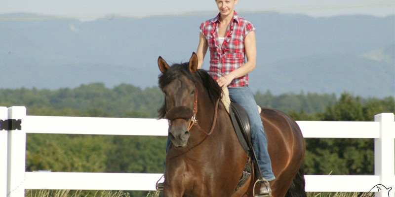 Richtiges-Auf-und-Abwärmen-Reiten Aufwärmphase im Pferdetraining