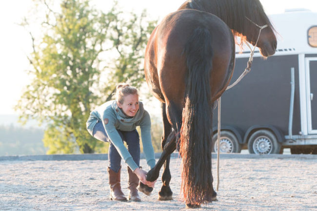 Pferdeosteopathie - Sarah Henne behandelt Pferd an der Hinterhand - Böblingen