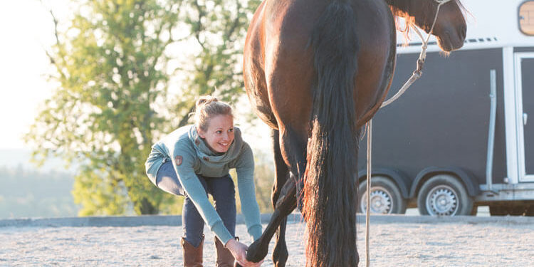 Pferdeosteopathie-Böblingen-Sarah-Henne Pferdeosteopathie - Sarah Henne behandelt Pferd an der Hinterhand - Böblingen