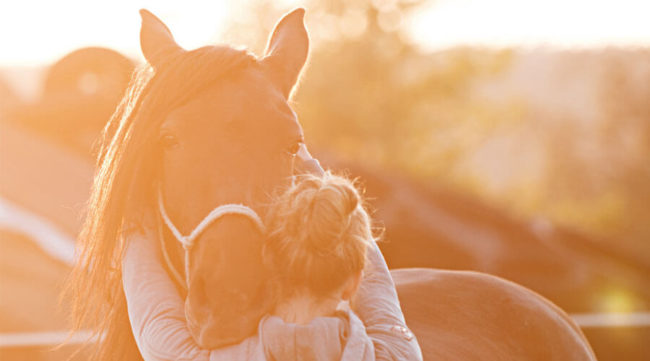 Pferdeosteopathie-Reutlingen-Sarah-Henne Pferdeosteopathie und Pferdephysiotherapie in Reutlingen mit Sarah Henne
