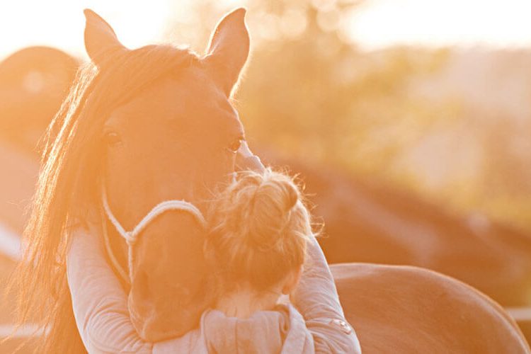 Pferdeosteopathie und Pferdephysiotherapie in Reutlingen mit Sarah Henne