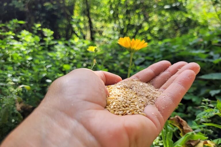 Magengeschwür bei Pferden mit Fütterung und Haltung stabilisieren